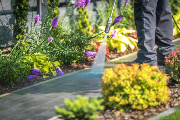 Best Pre-Holiday Cleaning  in Hicksville, OH