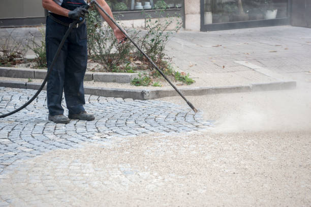 Animal Enclosure Cleaning in Hicksville, OH